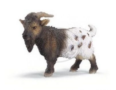 Schleich 13602 - Zvířátko - zakrslý kozel
