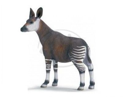 Schleich 14361 - Zvířátko - okapi