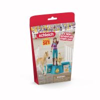 Schleich Předávání cen po turnaji 3