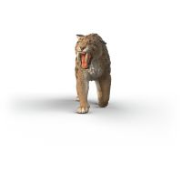 Schleich Prehistorické zvířátko - Šavlozubý tygr 3