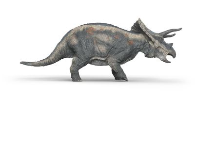 Schleich Prehistorické zvířátko - Triceratops