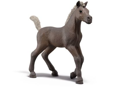 Schleich Sběratelské hříbě Darcy