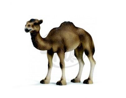 Schleich 14355 - Zvířátko - velbloud jednohrbý (dromedár), samice