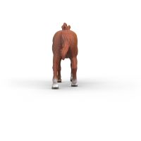 Schleich Zvířátko - hřebec anglického plnokrevníka 4