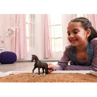 Schleich Zvířátko - KWPN valach 6