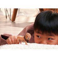 Schleich Zvířátko - lev africký 5
