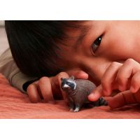 Schleich Zvířátko - mýval 5