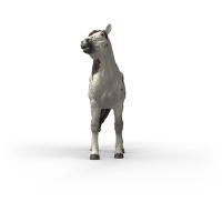 Schleich Zvířátko - valach knabstrupského koně 3
