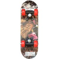 Skateboard AFRIKA 43cm 2