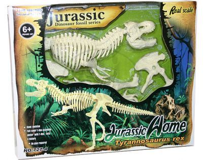 skeleton Tyranosaurus Rex