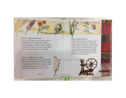 ŠKOLÁKOVA ENCYKLOPEDIE V KOSTCE - Kdo? Kdy? A proč?