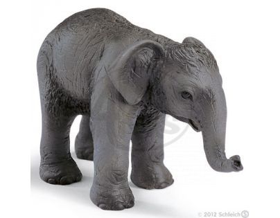 Schleich 14343 - Zvířátko - mládě slona indického