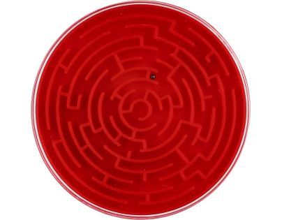 Směr Bludiště hra hlavolam plast průměr 8 cm červené