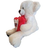 Sparkys PLYŠÁKOV - Velký Medvěd se srdcem a mašlí 60 cm 2