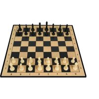 Sparkys Šachy společenská hra