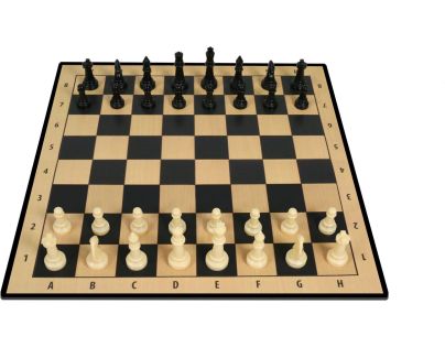 Sparkys Šachy společenská hra