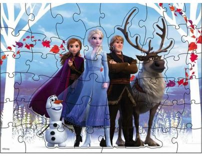 Spin Master Frozen 2 puzzle