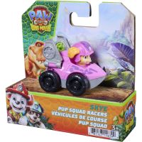 Spin Master Tlapková patrola Dino malá vozidla 6