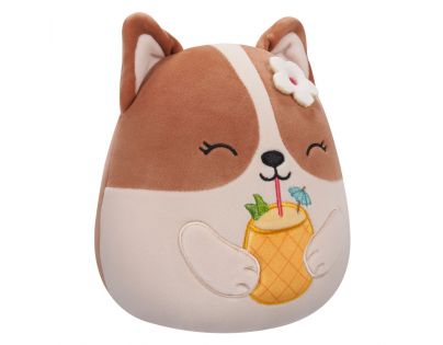 Squishmallows Corgi s drinkem Regina 20 cm