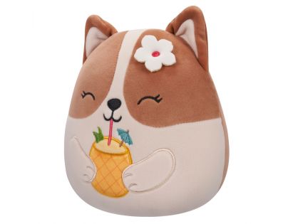 Squishmallows Corgi s drinkem Regina 20 cm
