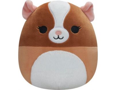 Squishmallows Morče Garret 20 cm