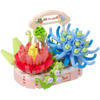 Stavebnice mini KOCO Kouzlo sukulentů plast 271ks v krabičce 11x15x6cm 2