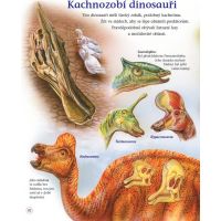 Sun Dinosauři a prehistorický svět 2