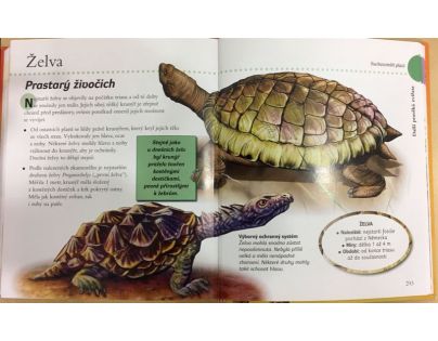 Sun Dinosauři fascinující pravěký svět zvířat