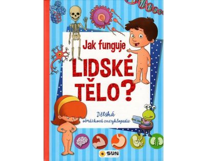 Sun Jak funguje lidské tělo