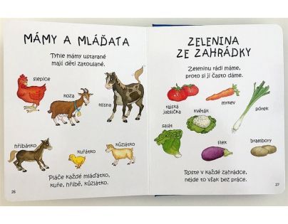 Sun kniha Obrázkový lexikon Na statku