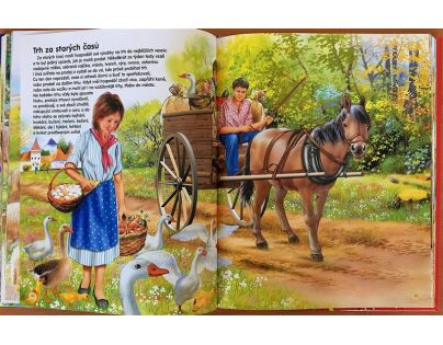 Sun kniha Statek a život na venkově