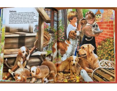 Sun kniha Statek a život na venkově