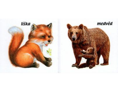 Sun Pojďte s námi za zvířátky do lesa