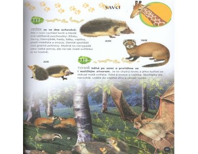 Sun Velká encyklopedie Zvířata v otázkách a odpovědích