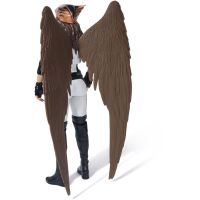 Superman film figurky 30 cm Hawkgirl 2