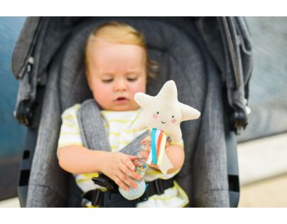 Taf Toys Chrastítko dešťová hůlka Hvězdička