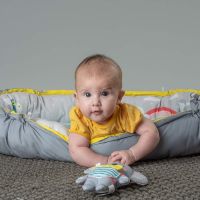 Taf Toys Hrací deka & hnízdo s hudbou pro novorozence Koala 5
