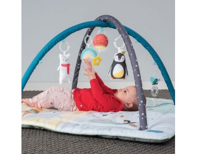 Taf Toys Hrací deka Severní pól čtyři roční období