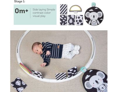 Taf Toys Hrací kruh s aktivitami All Around Me - Poškozený obal