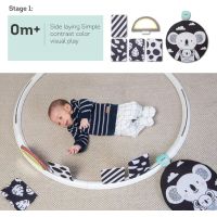 Taf Toys Hrací kruh s aktivitami All Around Me - Poškozený obal 4