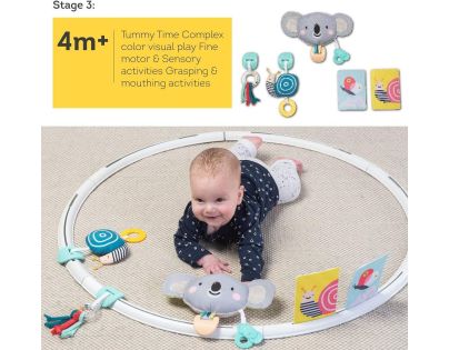 Taf Toys Hrací kruh s aktivitami All Around Me - Poškozený obal