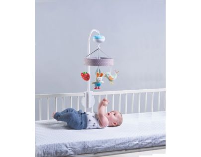 Taf Toys Kolotoč Zahrada