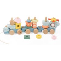 Teddies Vlak + 2 vagóny oceán dřevo tahací stavebnice 28 dílků v krabici 38x12x8cm 12m+ 2