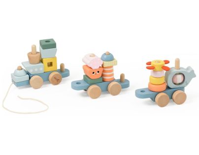 Teddies Vlak + 2 vagóny oceán dřevo tahací stavebnice 28 dílků v krabici 38x12x8cm 12m+