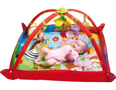 Tiny Love Hrací deka s hrazdou Gymini® Move&Play