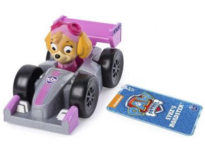 Spin Master Tlapková patrola autíčka Skye Roadster