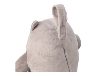 Tommee Tippee Noční světlo s hudbou Grofriend Ollie the Owl