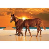 Trefl Puzzle Koně na pláži 1500 dílků 2
