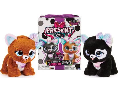 Present Pets Interaktivní koťátko klasik