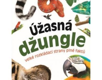Bookmedia Úžasná džungle